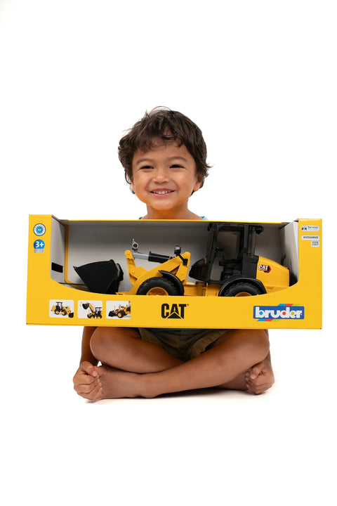 CAT Wheel Loader 02486