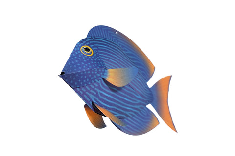 Surgeonfish - Fish 3D Paper Figure