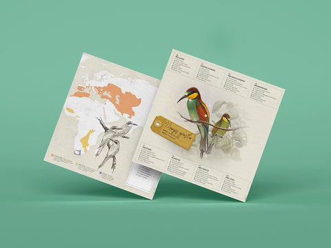 Bee-Eater - Bird 3D Paper Figure