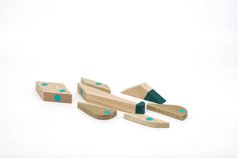Brachiosaurus Wooden Magnetic Toy