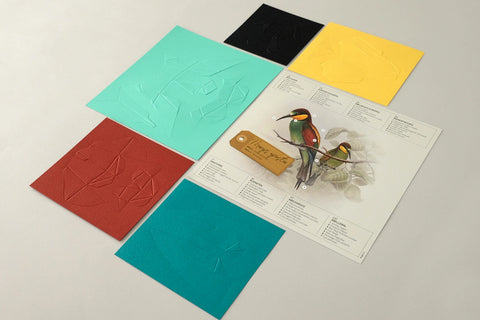 Bee-Eater - Bird 3D Paper Figure