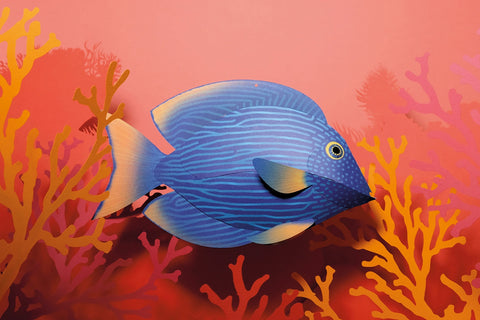 Surgeonfish - Fish 3D Paper Figure