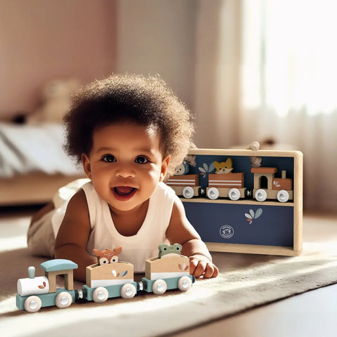 Train Set Display Case