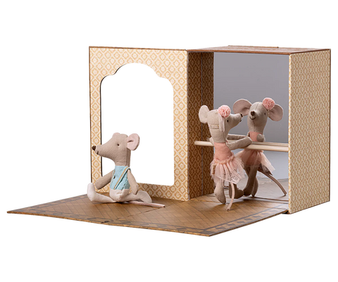 Ballet mice in dance studio, Little sister