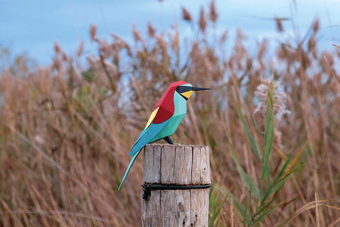 Bee-Eater - Bird 3D Paper Figure