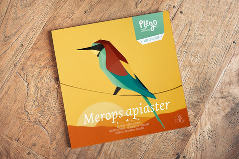 Bee-Eater - Bird 3D Paper Figure