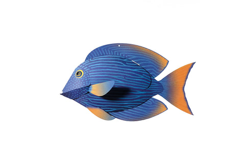 Surgeonfish - Fish 3D Paper Figure