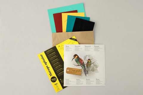 Bee-Eater - Bird 3D Paper Figure
