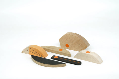 Toucan Wooden Magnetic Toy