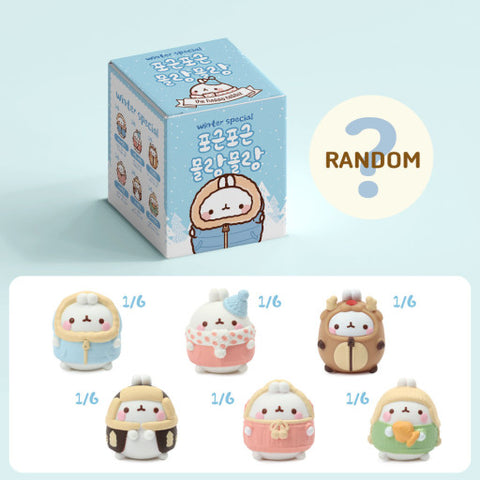 Molang Winter Special Blind Box