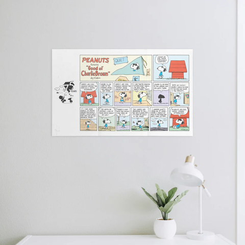 Peanuts Puzzle By Number