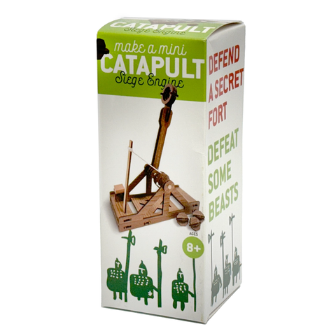 Make A Mini Catapult