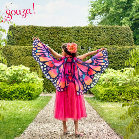Papillon Wings