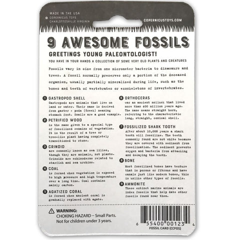 Awesome Fossils