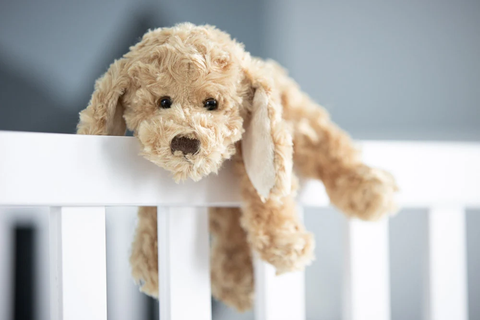 Buddy - Plush Dog