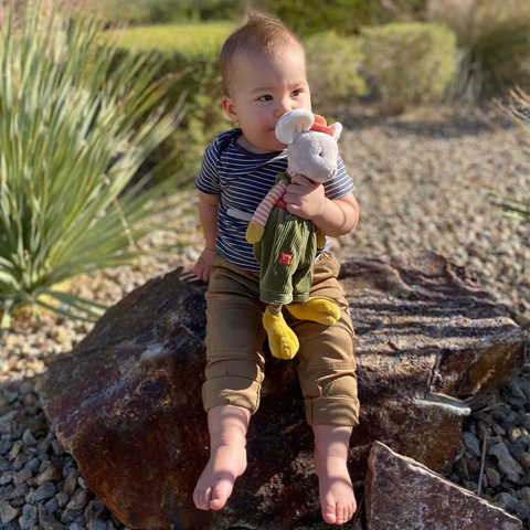 Patchworks Collection