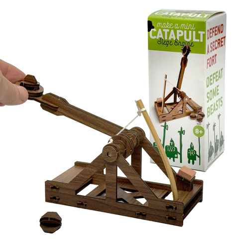 Make A Mini Catapult