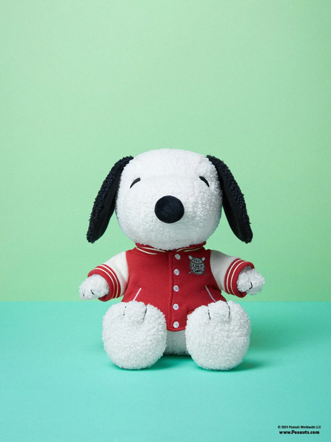 SNOOPY WITH VARSITY JACKET - 25 CM - 10"
