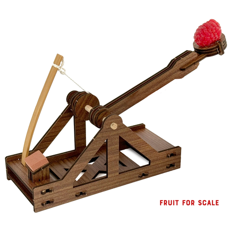 Make A Mini Catapult