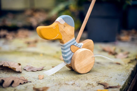 Wooden Push Toy Duck Blue