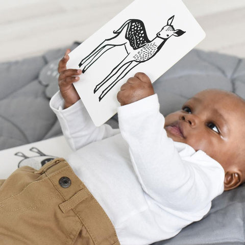 Art Cards for Babies Rainforest