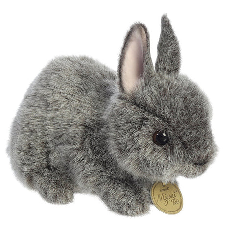 Netherland Dwarf Bunny Grey