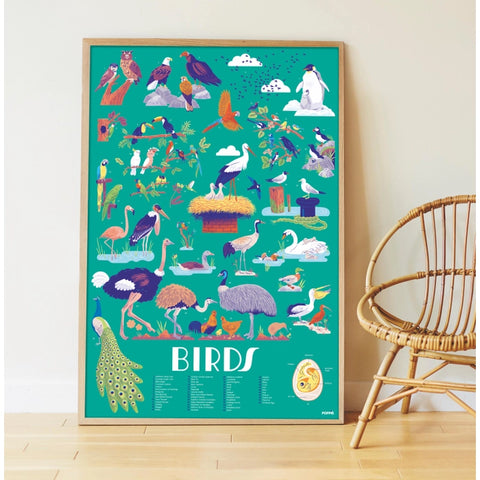 Birds - Poster + Stickers