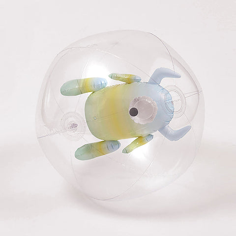 3D Inflatable Beach Ball Monster