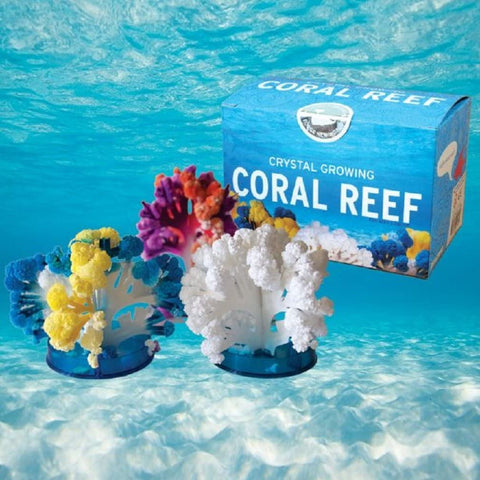 Crystal Growing Coral Reef Kit