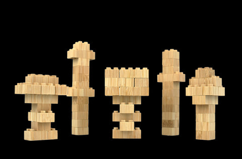Eco-bricks- 24 Piece Bamboo