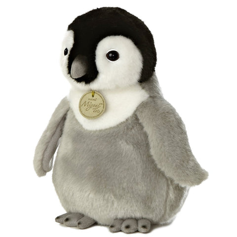 Baby Emperor Penguin