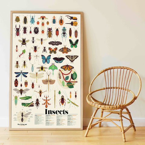 Insects - Poster + Sticker